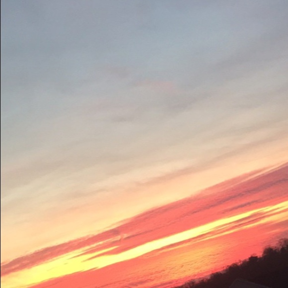 Meet your Posher, Thalea